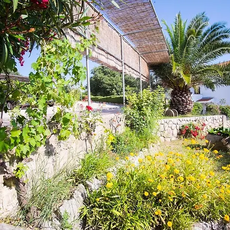 Rose Apartament